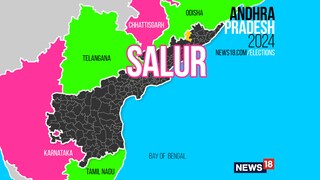 Salur Assembly constituency (Image: News18)