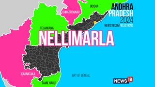 Nellimarla Assembly constituency (Image: News18)