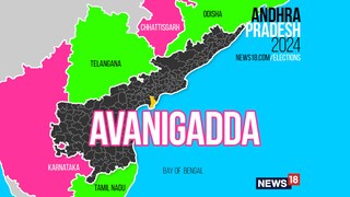 Avanigadda Assembly constituency (Image: News18)