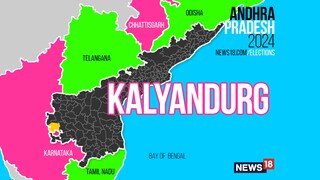 Kalyandurg Assembly constituency (Image: News18)