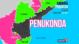 Penukonda Assembly constituency (Image: News18)