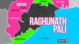 Raghunathpali Assembly constituency (Image: News18)