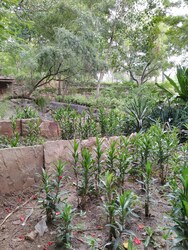 Rock Garden at Patel Nagar in Delhi, Beauty of Nature. Copyright (c) 2019 Faiz'an/Shutterstock.