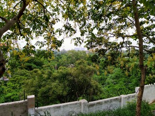 Rock Garden at Patel Nagar in Delhi, Beauty of Nature. Copyright (c) 2019 Faiz'an/Shutterstock.