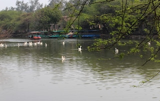 Boating in Sanjay Lake. Ducks can be seen floating on the waters of the lake located in Trilokpuri in Delhi, India. Copyright (c) 2020 Dheeraj Arora/Shutterstock.