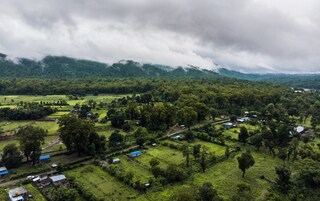 The border area of Bihar (India) & nepal & lush green forest. Copyright (c) Ashish Kaushik / Shutterstock