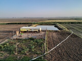 Farming of Chakni  city in Buxar ,Bihar in India.Natural beauty of Chakni in Bihar. Copyright (c) 2023 Bidesh's arts/Shutterstock.