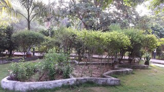 City park at Bhabua in Bihar. Copyright (c) 2018 Guddu Ali/Shutterstock.