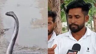 त्याने मागच्या चार दिवसांत तब्बल 152 सापांना पुराच्या पाण्यातून बाहेर काढलं.