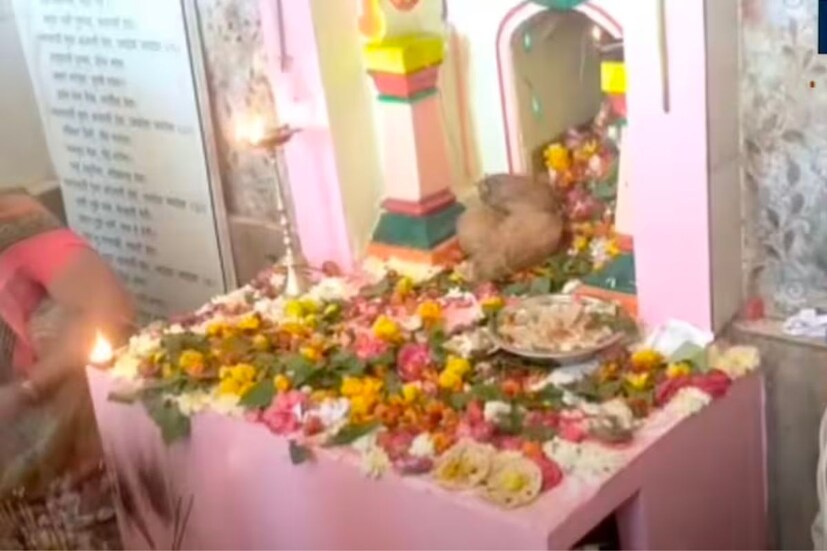 दरवर्षी पौष महिन्यात भरत असलेल्या चंद्राजी बाबांच्या नावाने भरत असलेली वऱ्हा येथील ही यात्रा म्हणजे परिसरातील भाविकांसाठी नवसाची यात्रा असल्याचे सुद्धा मानले जाते. कारण अनेक भाविक या यात्रेत आपल्या इच्छा पूर्तीचे साकडे घालतात, तर काही भाविक याठिकाणी आपल्या परिवारासह स्वयंपाक व महाप्रसादाचे सुद्धा आयोजन याठिकाणी करत असल्याची परंपरा आजही कायम आहे. 