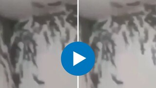 बाथरुममध्ये पालींचं मोठं सैन्य