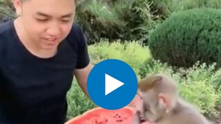 क्युट व्हिडीओ