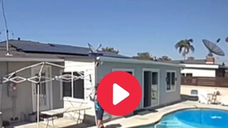 व्हायरल व्हिडीओ