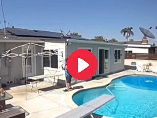 व्हायरल व्हिडीओ