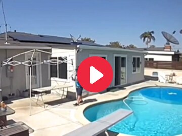 व्हायरल व्हिडीओ