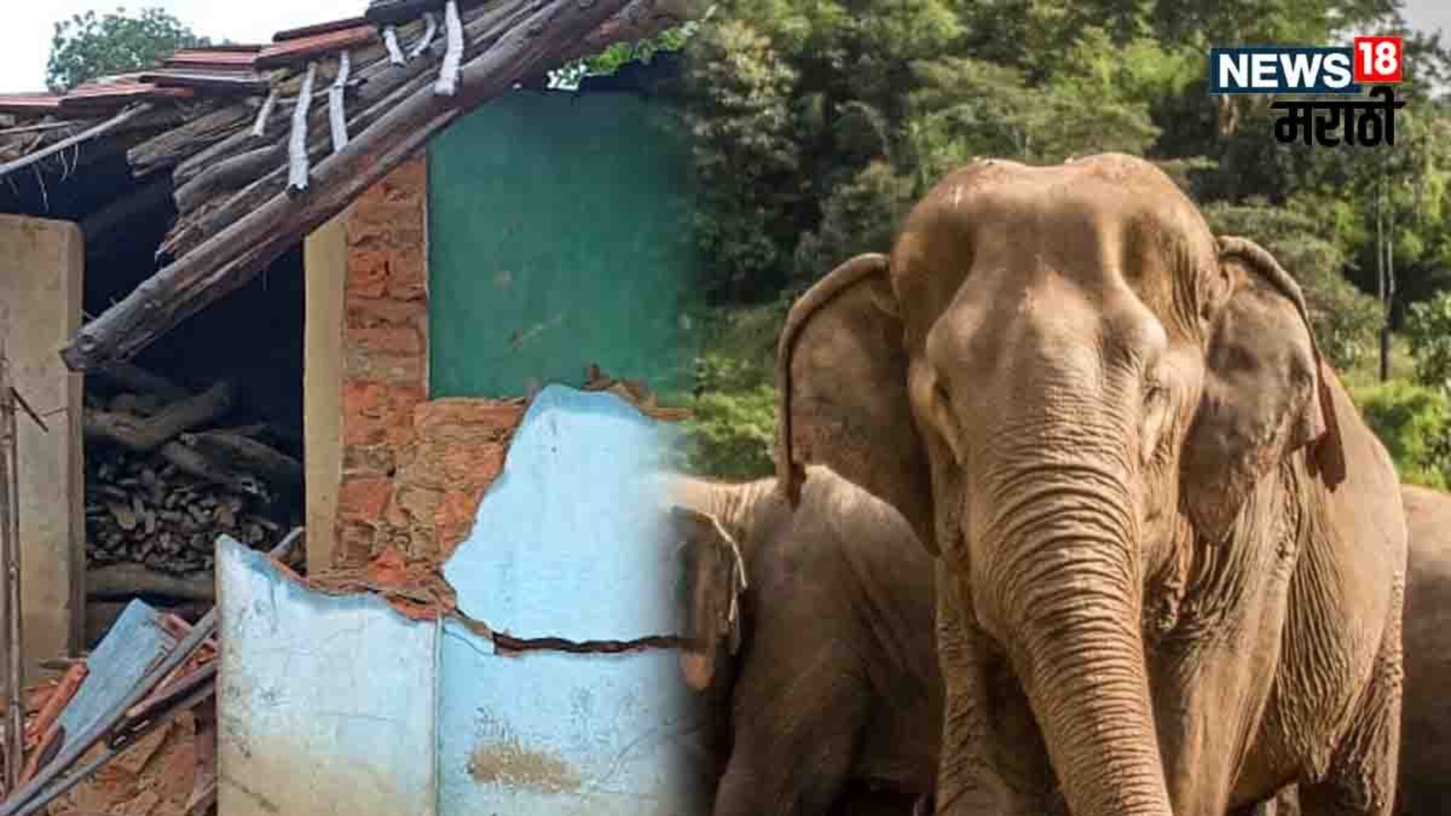 अचानक 15 ते 20 हत्ती अख्ख्या गावावर चालून आले; जीव वाचला पण संसार गेला, PHOTOS