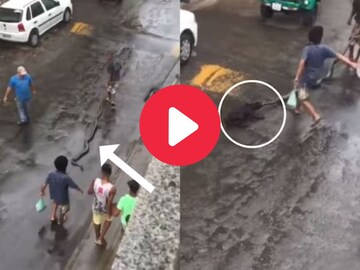 भल्यामोठ्या अजगराला तरुण रस्त्यावर ओढतोय भल्यामोठ्या अजगराला तरुण रस्त्यावर ओढतोय