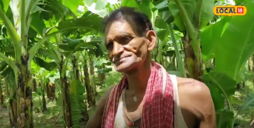 ते पुढे म्हणाले की, त्यांनी अर्धा एक शेतीमध्ये केळीची 1200 रोपे लावली आहेत. यामध्ये प्रत्येक 1 रोप हे त्यांना 18 रुपयांना पडले. ते अर्धा एक केळीच्या शेतीतून प्रत्येक वर्षाला लाख रुपयांपेक्षा जास्त पैसे कमावत आहेत. 