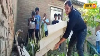 हा साप तब्बल 10 वर्षांचा होता. त्याच्यात मोठ्याप्रमाणात विष होतं. हा साप तब्बल 10 वर्षांचा होता. त्याच्यात मोठ्याप्रमाणात विष होतं.