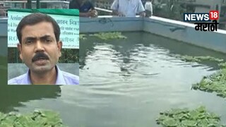 कमाल कमागिरी