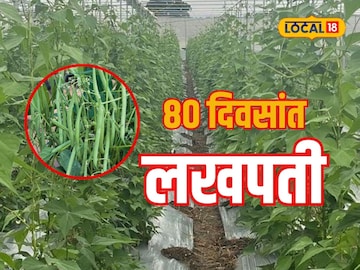 युवा