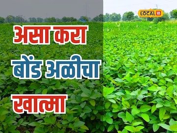Video: