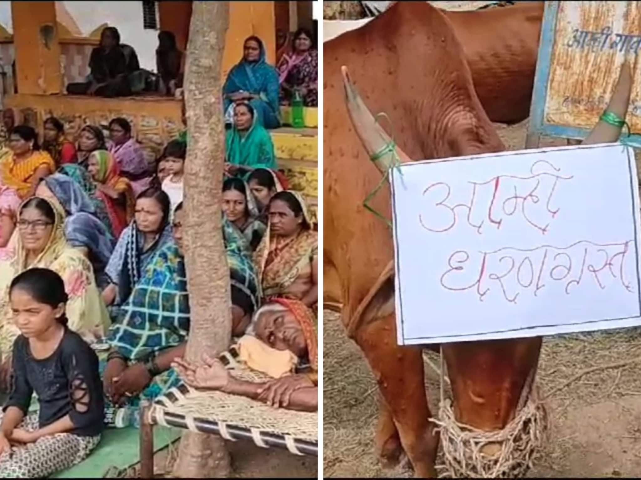 काय सांगताय ! अख्खं गाव बसलं उपोषणाला; मुलं, जनावरे घेऊन गावकऱ्यांचं आमरण उपोषण