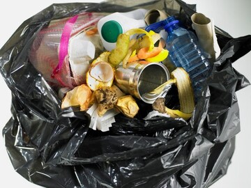 केळ्याची साल आणि बरंच काही...; तुम्ही फेकलेला 'हा' कचरा 1000 वर्षे नष्ट होत नाही