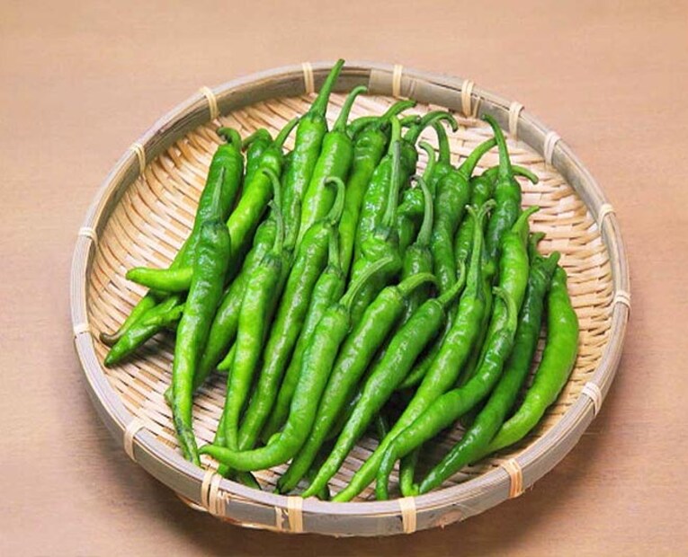 हिरवी मिरची ही डायबिटीजच्या रुग्णांसाठी खूप फायदेशीर मानले जाते. दिवसभरात एक मिरची खाल्ल्याने रक्तातील साखरेची पातळी नियंत्रणात राहते. हिरव्या मिरचीत आढळणारे कॅप्सेसिन हे अँटिबायोटिक म्हणून काम करते. 