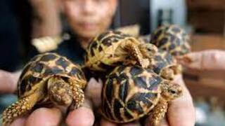 सोर्स : Google