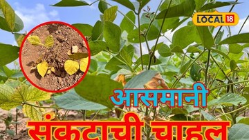 पावसानं