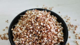 एवढीशी मटकी, पण फायदे तिचे भारी; आरोग्यासाठी आहे खूपच गुणकारी