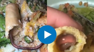 व्यक्तीने मागवला स्प्रिंग रोल, आत निघालं जिवंत गांडूळ