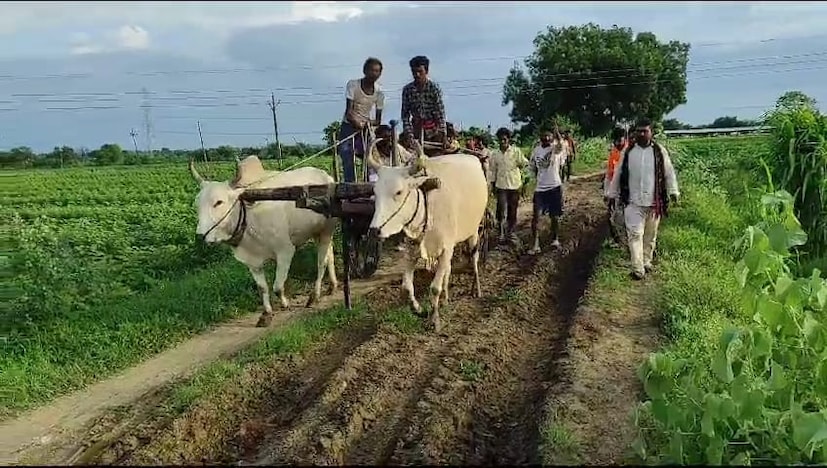 हिंगणघाट तालुक्यातील वाघोली ग्रामपंचायत अंतर्गत खैराटी पारधी बेडा आहे. या गावात 45 ते 50 घरे आहेत. 50 ते 60 वर्षांपासून हे लोक इथे वास्तव्यास आहेत. पारधी बेड्यातील एका व्यक्तीची प्रकृती बिघडली. त्याचे कुटुंबीय त्याला रात्री सेवाग्राम येथील रुग्णालयात घेऊन जायला निघाले.