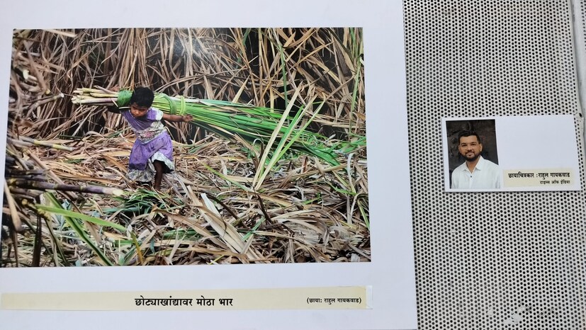 छोट्या खांद्यावर मोठा भार असे म्हणत कोल्हापुरातील ऊस तोड मजूर आणि त्यांच्या मुलांची व्यथा छायाचित्राच्या रुपात टाइम्स ऑफ इंडियाचे छायाचित्रकार राहुल गायकवाड यांनी मांडली आहे.