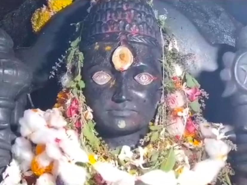 परळी शहरातील जुन्या गावभागात 300 वर्षांपूर्वीची झुरळे गोपीनाथाची विष्णू रूपातील मूर्ती आहे. जमिनीपासून दहा फूट खोल असलेल्या या मंदिराच्या गाभाऱ्यात झुरळाच्या रूपाने गोपिका कायम वास्तव्यास असल्याचे या मंदिराची आख्यायिका सांगितली जाते. 