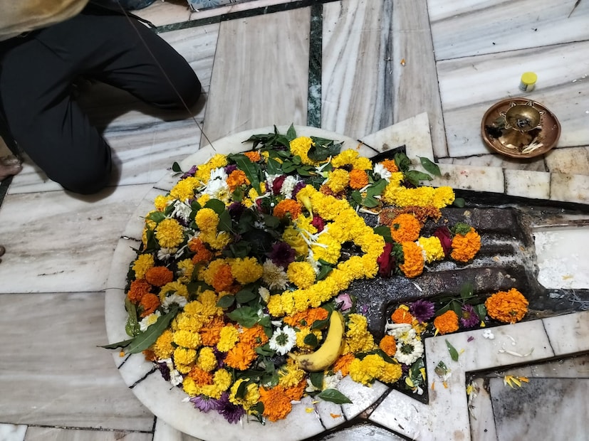 सध्या श्रावण महिना सुरू असून या महिन्याला हिंदू धर्मात मोठं महत्त्व आहे. व्रत वैकल्यांचा महिना मानला जाणाऱ्या या महिन्यात मोठ्या प्रमाणात शिवपूजा होत असते. त्यासाठी देशभरातील शिवमंदिरंभक्तांनी गजबजलेली दिसतात.