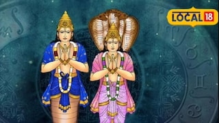 आपल्या घरात साप आणि कबुतर आढळतात कारण त्यांना याठिकाणी राहूची अशुभ छाया असल्याचे संकेत आधीच मिळालेले असतात.