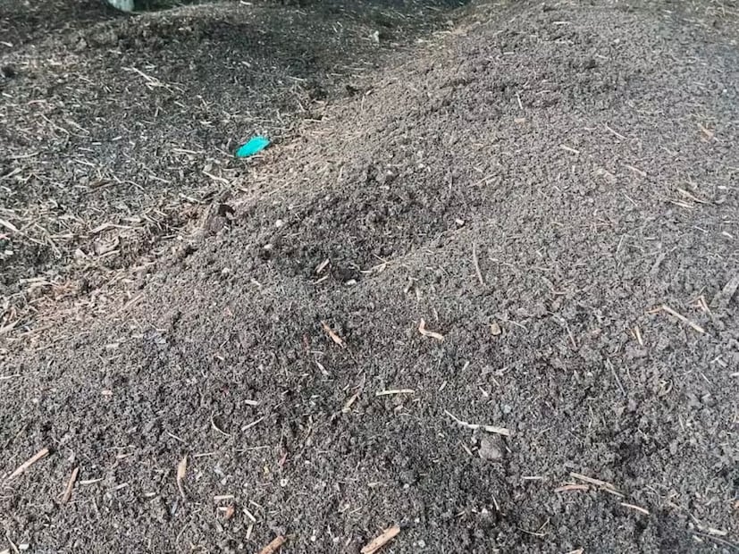 रासायनिक खत आणि औषधांचा वापर यामुळे जमिनीचा पोत खराब होत आहे. शेती उत्पादनात घट होत आहे. पिके आणि भाजीपाल्यावर अनेक प्रकारची रासायनिक औषधी फवारली जात. यामुळे कसदार अन्न मिळत नाही.