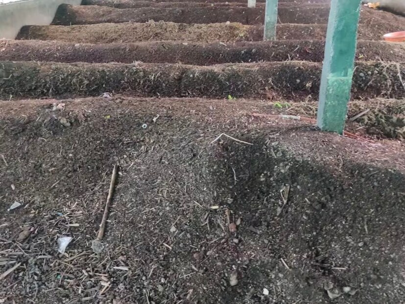 रासायनिक खत आणि औषधींचा दुष्परिणाम रोखण्यासाठी शेतकऱ्यांनी सेंद्रीय शेतीकडे वळावे यासाठी कृषी विभागाकडून अनेक वर्षांपासून अनेक प्रयत्न केले जात आहेत. सरकारच्या प्रयत्नांना बळ देण्याचे काम 23 वर्षांपूर्वीच साहेबराव भांड या दूरदृष्टी असणाऱ्या शेतकऱ्याने केले.