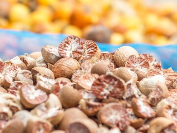 औषधी गुणांचा खजिना आहे सुपारी! पूजेसाठीच नाही आरोग्यासाठीही फायदेशीर; वाचा फायदे औषधी गुणांचा खजिना आहे सुपारी! पूजेसाठीच नाही आरोग्यासाठीही फायदेशीर; वाचा फायदे