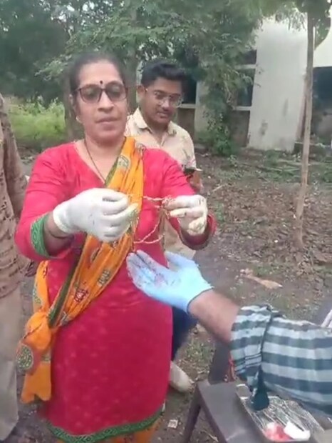 म्हशीला पशू वैद्यकीय दवाखान्यात नेण्यात नेलं. तिथं मेटल डिटेक्शन करून तिच्या पोटात सोन्याची पोथ आहे याची खात्री केली. ती शेणातून बाहेर पडेल यासाठी एक दिवस वाट पाहिली. पण तसं काही झालं नाही. दुसऱ्या दिवशी म्हशीची शस्त्रक्रिया करून म्हशीच्या तिचा पोटातील पोथ काढण्यात आली.