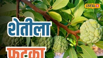 दुष्काळाच्या