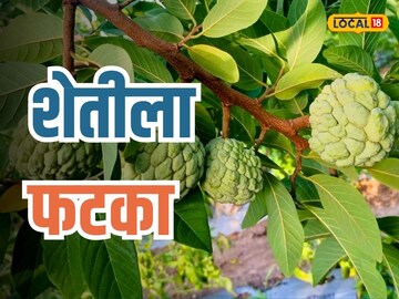 दुष्काळाच्या