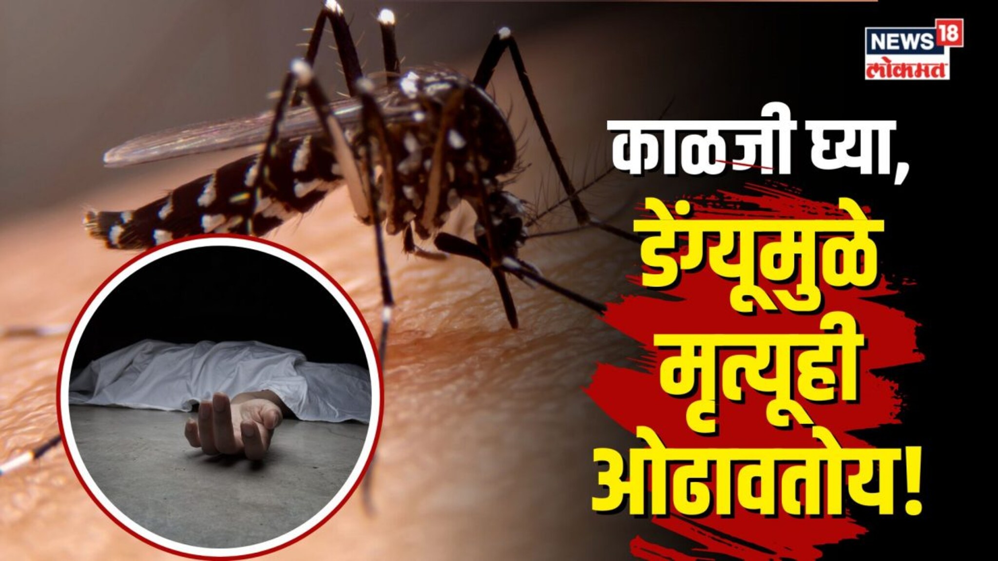 डेंग्यूची लक्षणं फ्लू सारखीच, मृत्यू ओढवण्याचीही शक्यता... कशी ओळखाल खतरे की घंटी? 