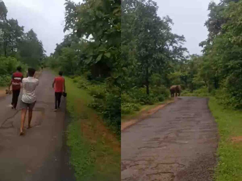 बिथरलेले हत्ती सैरावैरा धावत होते. त्यावेळी मोठ्या प्रमाणात स्थानिक नागरिक आणि वन कर्मचारी हत्तींना पिटाळून लावत असताना वाहन चालक असलेले वनविभागाचे कर्मचारी सुधाकर आत्राम गाडीच्या बाजूला उभे होते.  