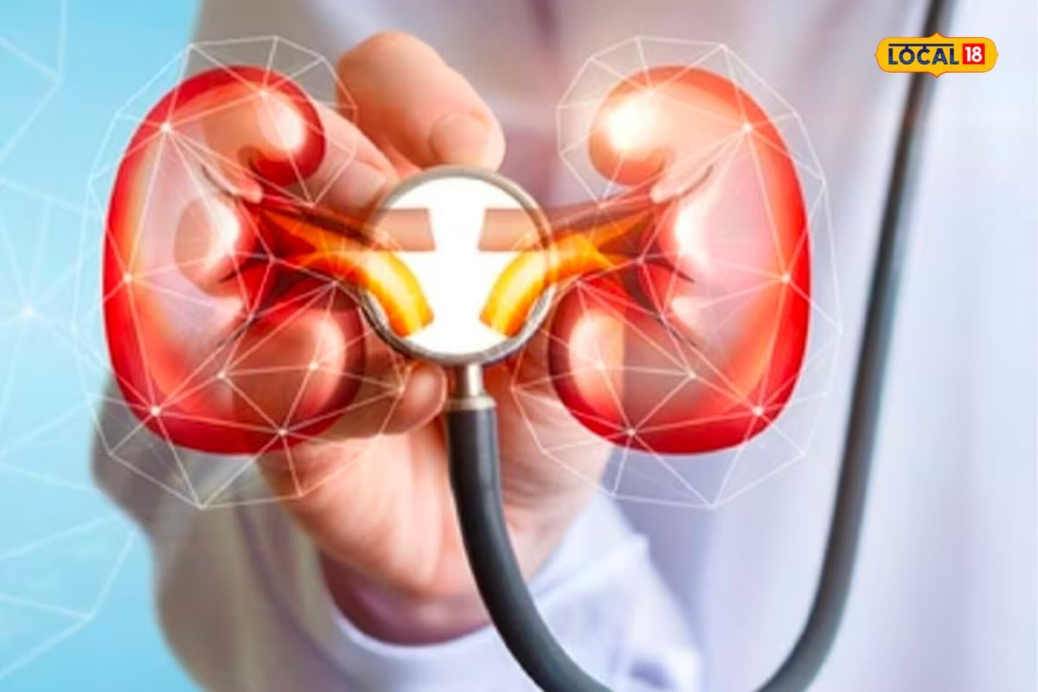 किडनी फेल होण्याआधी शरीरातून मिळतात 'हे' संकेत; वेळीच व्हा सावध