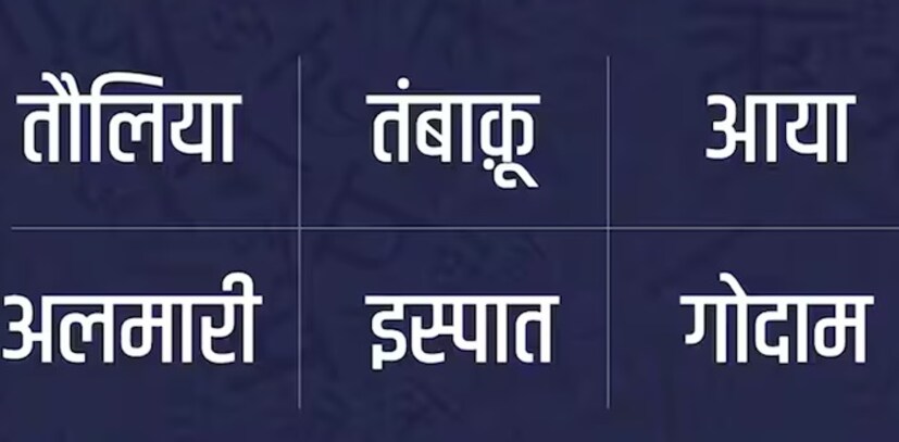इस्पात, तौलिया हे हिंदी वाटणारे शब्द खरंतर पोर्तुगाली आहेत. पण त्यांचा वापर इतक्या कालावधीपासून आहे की ते हिंदीच असल्यासारखे वाटतात.