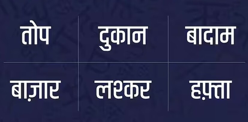 दुकान, लश्कर, हफ्ता, बादाम, तोप हे शब्द तुर्की आहे. जेव्हा तुर्की व्यापारी शेकडो वर्षांपूर्वी भारतात व्यापारासाठी आले तेव्हा वेगवेगळ्या राज्यांत त्यांचे शब्दही वापरले जाऊ लागले.