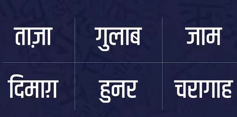 बहुतेक शब्द पारशी भाषेतूनही आलेत. ताजा, गुलाब, जाम, दिमाग, हुनर इत्यादी शब्दांचा यात समावेश आहे.